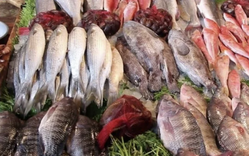 أسعار السمك اليوم للمستهلك الأحد 25 فبراير 2024 بسوق العبور